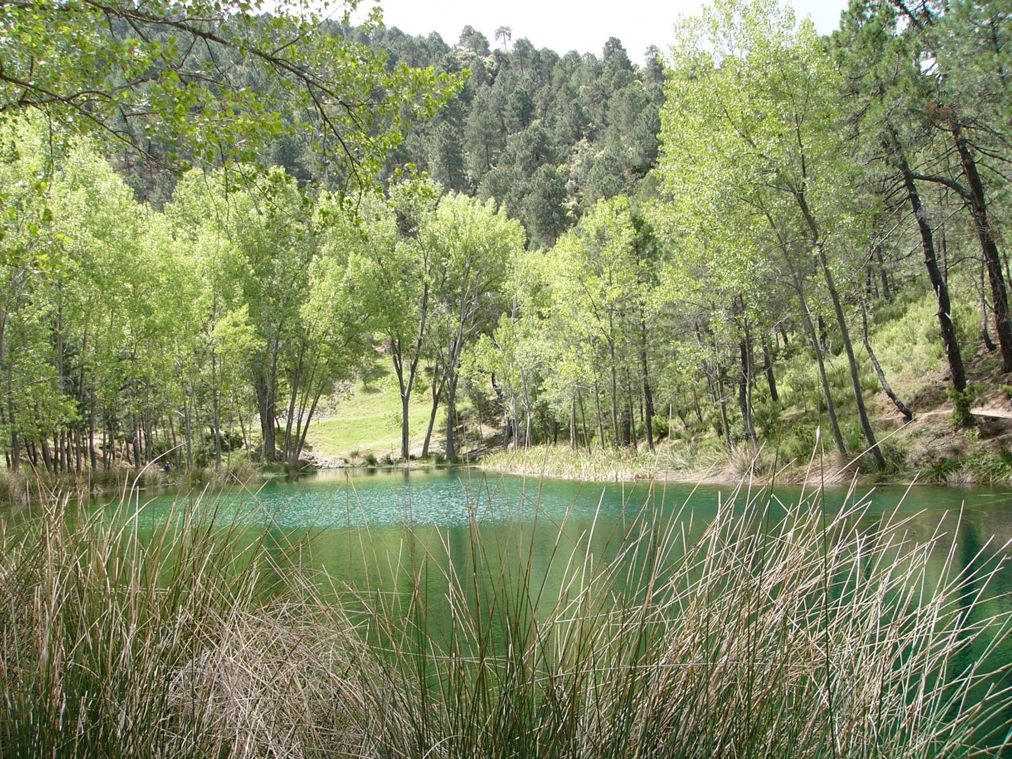 El Enebro Villa Villaverde De Guadalimar Esterno foto